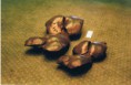 /album/sculptures-ciment/photo-expo-moloko%c3%af-001-jpg1/